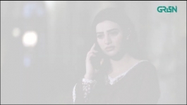 Shehzadi House - Episode 11